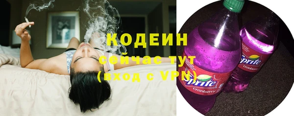 apvp Краснослободск