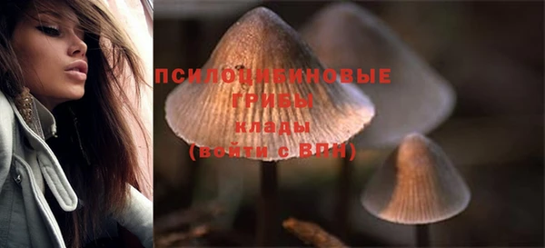 СК Коряжма