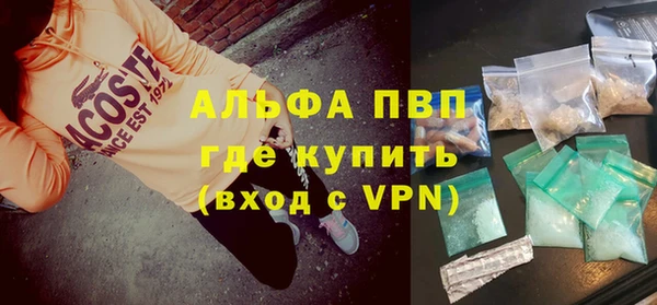 СК Коряжма